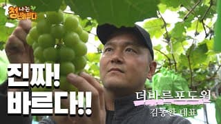 나는 청년농부다............경북 상주 김동환 포도농가(샤인머스캣 + 캠벨)