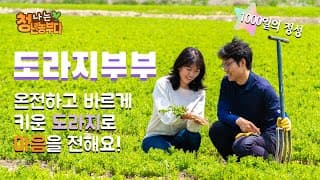 나는청년농부다.........영주 봉화 도라지미_김태준 박승희 대표