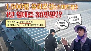 고흥 스마트팜혁신밸리 방울토마토 잎정리