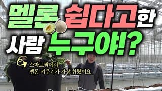 전남 고흥_멜론 쉽다고한 사람 누구야?