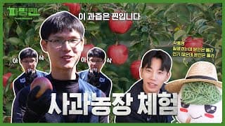 ?지금 당장 사과하세요!! ?사과(농장 체험^^) 하시라구욧!!!